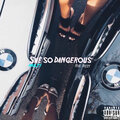 Multi、Rizzy - She so Dangerous (Explicit)