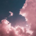 于果 - 侧脸