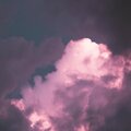 乾巧. - 痛快