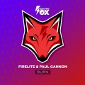 Firelite、Paul Gannon - Burn