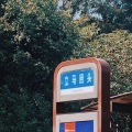 一只伪迷妹呀 - 恋爱吧男孩 (33秒片段)