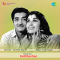 s. janaki - Mannathu Vennilavu
