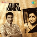 T. M. Soundararajan、A.L.Raghavan - Pombala Oruththi