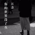 江念 - 你的世界没了我