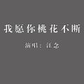 江念 - 我愿你桃花不断 (伴奏)
