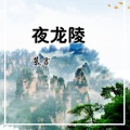 慕言 - 龙陵午夜嗨曲