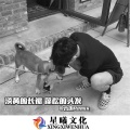 言也 - 对着月亮说我爱你 (DJ版)