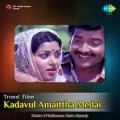 s. janaki - Vaanil Parakum Paaravai