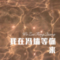 我买小米 - 贵州十大特产 (Remix)