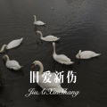 神秘人 - 旧爱新伤 (Remix)