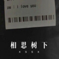 表哥 - 悲伤孤独客 (Remix)