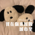 林子辰 - 情人港 (Remix)