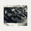 TMC - All I Need Is Your Love