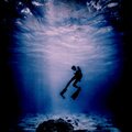Michael Kennedy、Breathe Flow、Aloe Eternal、Tonic Pitch - Starry Escape