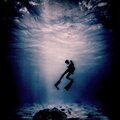 Michael Kennedy、Breathe Flow、Aloe Eternal、Tonic Pitch - Guyana Voyage