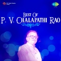 P.V. Chalapathi Rao - Pambarolla Mandi