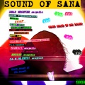 Sana、Mathew Mcguire、Monsanta D Martin Jr - Broke Communication