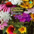 Chitra Singh - Tomar Holo Shuru
