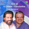 G. Devarajan - Ramsanile Chandrikayo