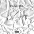 I'm Sorry (Explicit)