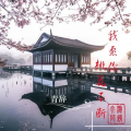 小韩不憨憨 - 我愿你桃花不断