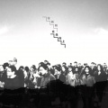 张萌萌 - 众生在上