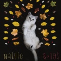 Dormir Bien、Animal and Bird Songs、Music for Dog's Ears - Morning Whisper