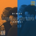 Dimzy - Love Of My Life (LOML)(Explicit)