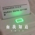 韦康 - 一辈子的女神 (Remix)