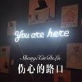 麻咚梅 - 伤心的路口 (Remix)