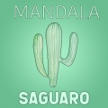 Mandala - Cholla