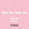 DDU-DU DDU-DU (remix)