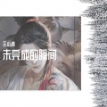王小浪 - 未完成的瞬间