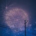 慌. - 123木头人