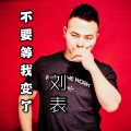 刘表 - 不要等我变了