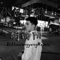 胡向阳 - 唯剑作伴 (DJ版)