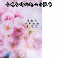 潮音哥、天1宝宝、大米西西 - 余音绕梁三日不绝