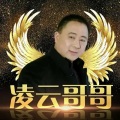 凌云哥哥 - 有一种思念叫永远