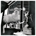 맹근영、Fully、크리스천레이、Paloalto - Counting Sheep