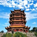 张鹏 - 我家在武汉