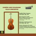 Cello Concerto in B Minor, Op. 104: I. Allegro