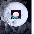 Mirror Hammer、Fuse Sparker、Ashley Stevens、Ghost Technology - Kenya Woman