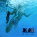 LEO PICON - Jogador