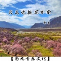 我愿你桃花不断