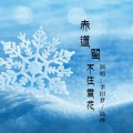 赤道留不住雪花