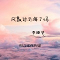 风飘过云海了吗