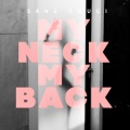 My Neck My Back (Extended Mix|Explicit)