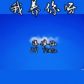 DJ YiXiu、洋菟 - 半壶老酒