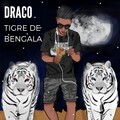DRACO - Tigre de Bengala