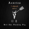 KB5、XING KONG、Aeories、电子音乐资讯、XING KONG - Kill The F***ing Fly (KB5 & XING KONG Remix)